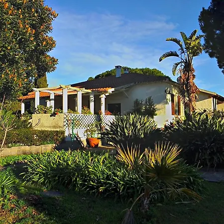 Giardini
